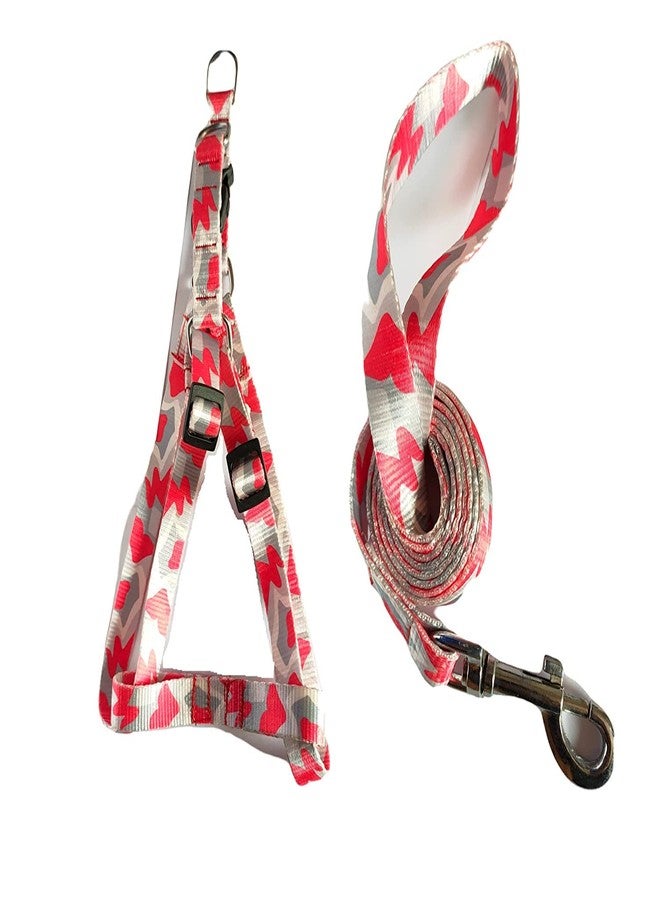 KittuPet طقم سرج ومقود للكلاب من KittuPet، مقاس 22 مم، مصنوع من النايلون الناعم المطبوع بألوان زاهية، مقاس 3/4 بوصة. يتضمن الطقم سرجًا متوسط الحجم قابلًا للتعديل من النايلون، مناسب للكلاب متوسطة الحجم. قد يختلف اللون. - Image 2